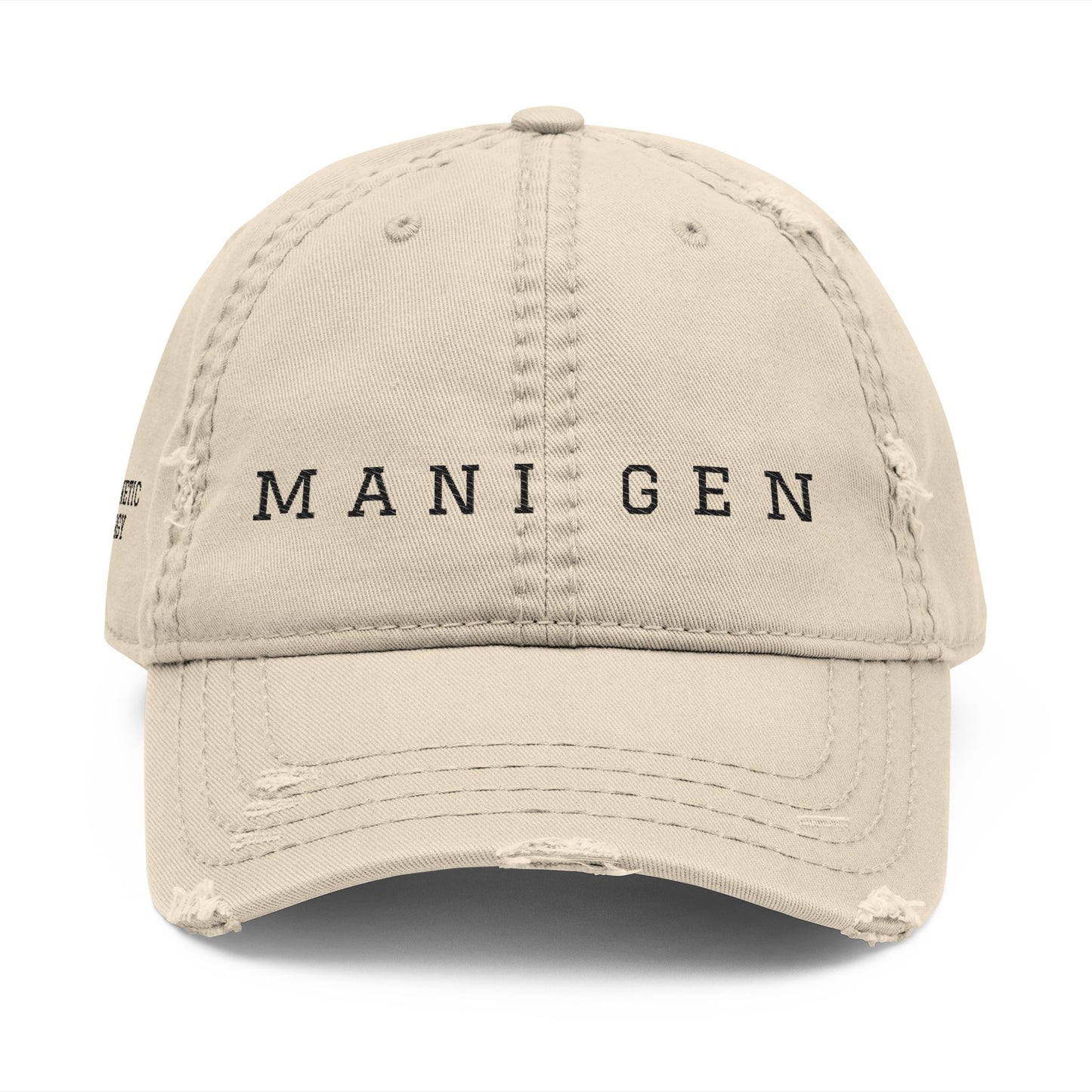 MANIFESTING GENERATOR embroidered distressed hat | vintage baseball cap