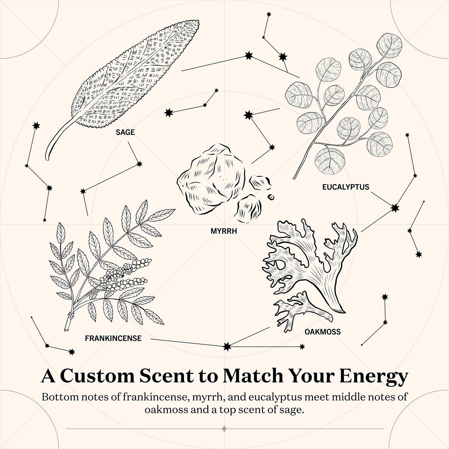 Birthdate Candles, February 2 - Aquarius Zodiac Scented Candles Birthday Gift - Lavender, Sage & Neroli Scent - All-Natural Soy & Coconut Wax, 60-80 Hour Burn Time - Made in USA