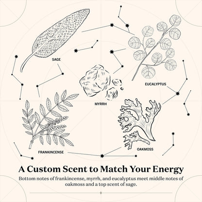 Birthdate Candles, February 2 - Aquarius Zodiac Scented Candles Birthday Gift - Lavender, Sage & Neroli Scent - All-Natural Soy & Coconut Wax, 60-80 Hour Burn Time - Made in USA