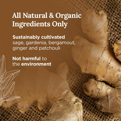 Fresh ginger roots on a woven surface with text highlighting all-natural and organic ingredients such as sage, gardenia, bergamot, ginger, and patchouli.